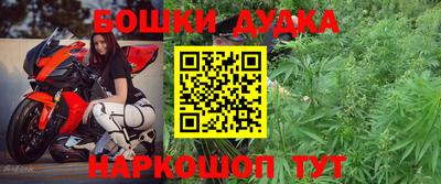 Альфа ПВП Сланцы
