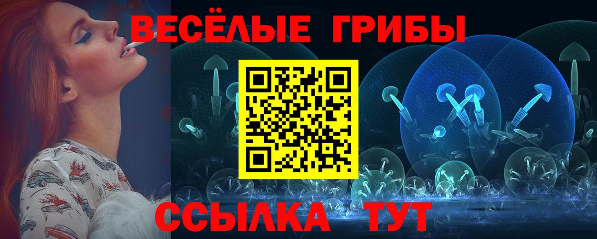 купить  цена  Псилоцибиновые грибы MAGIC MUSHROOMS  Вход с VPN  Псилоцибиновые грибы мухоморы  Аша 